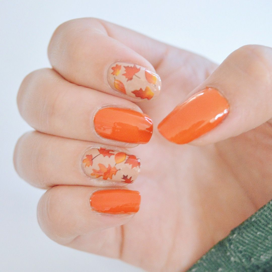 Autumn Elegance: Enchanting Nail Designs to Embrace the Fall Season