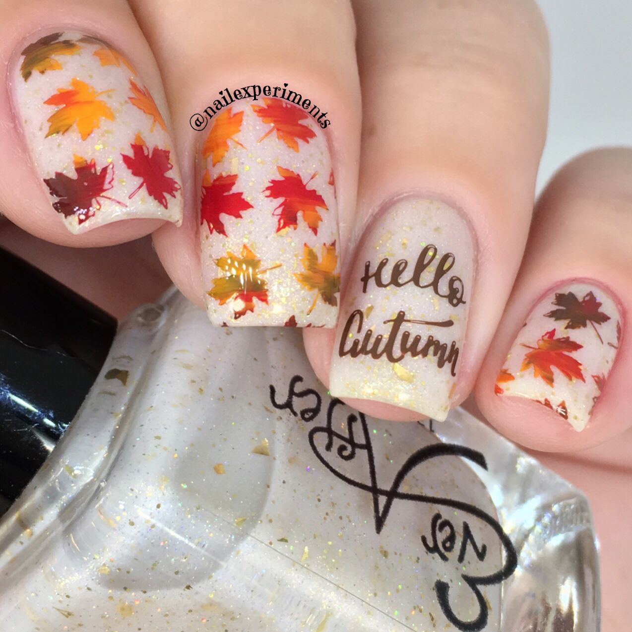 Autumn Embrace: Cozy Nail Art for Fall Vibes