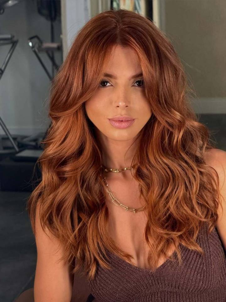 Chest-Length Visual Idea Chest-Length Visual Idea — Winter Auburn Hair Color
