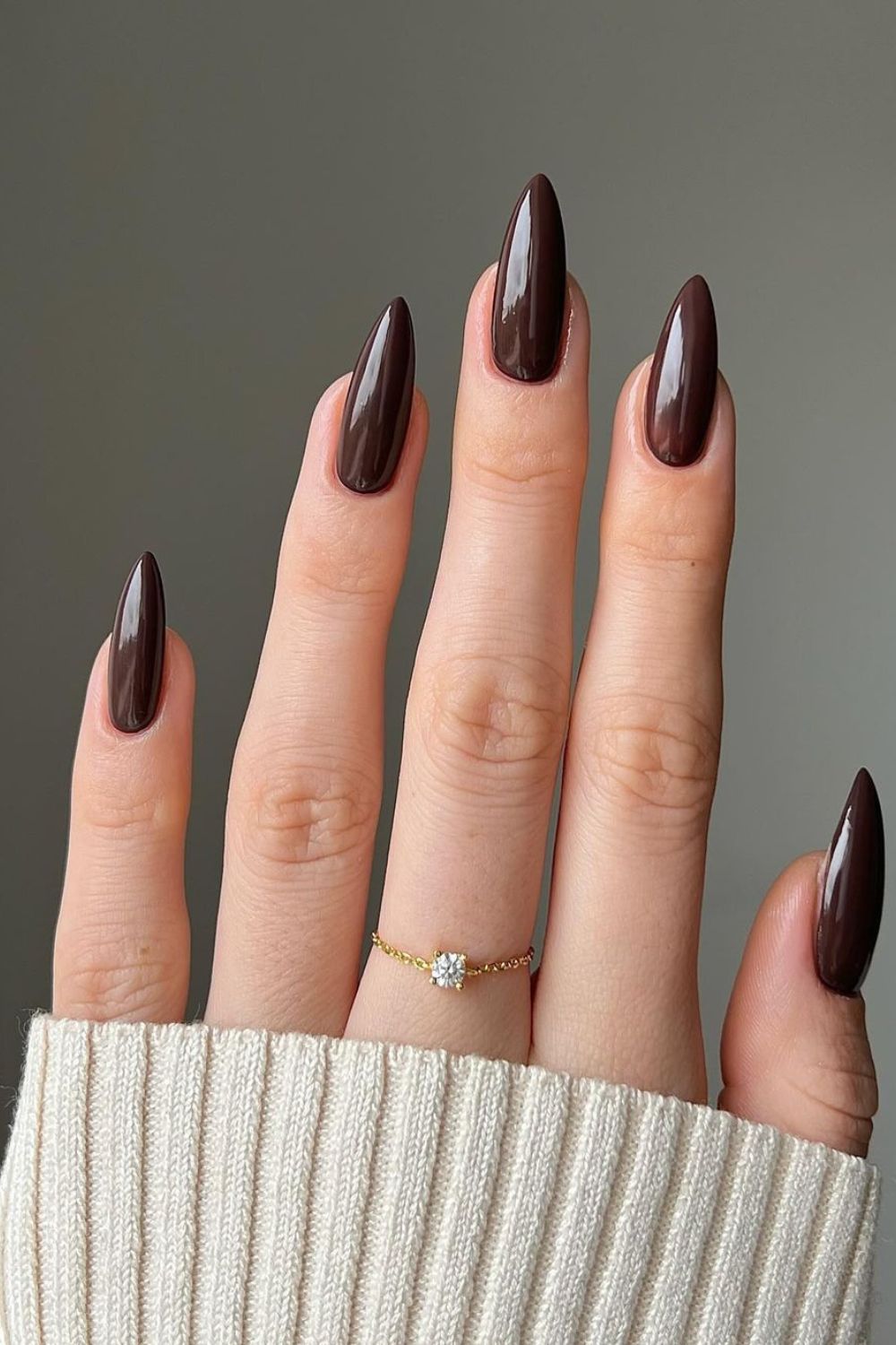 Deep Dark Brown Glossy Long Stilettos Deep Dark Brown Glossy Long Stilettos — Winter Nail Colors for Women Over 50