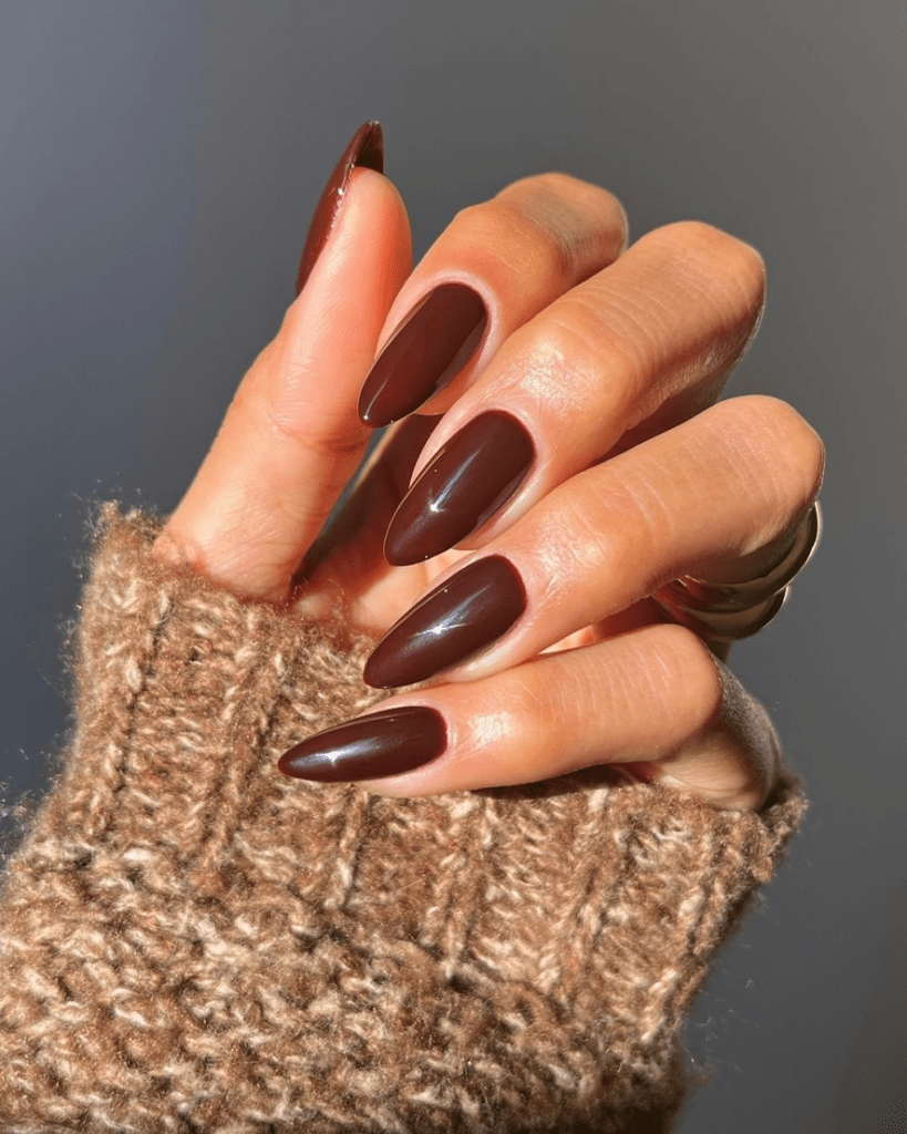 Warm Brown With Subtle Shimmer — Chocolate Brown Nails