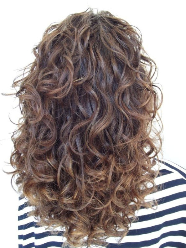 Natural Dark Brown Curls With Auburn Highlights Natural Dark Brown Curls With Auburn Highlights — Long Winter Haircuts