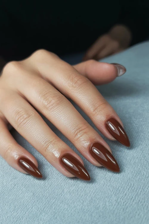 Deep Glossy Chocolate Stiletto Nails — Chocolate Brown Nails
