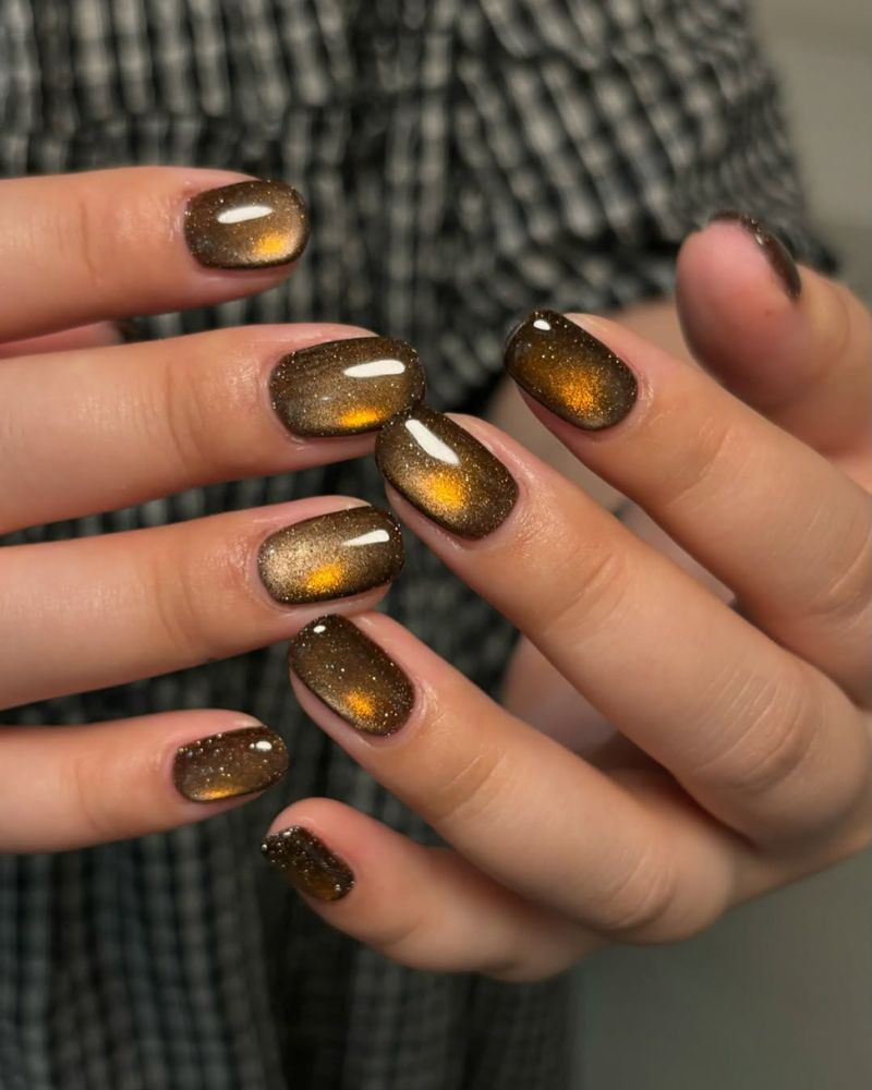 Deep Brown Gold Orange Cat Eye — Winter Cat Eye Nails