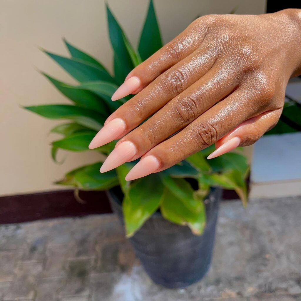 Peachy Nude Stiletto — Winter Nude Nails