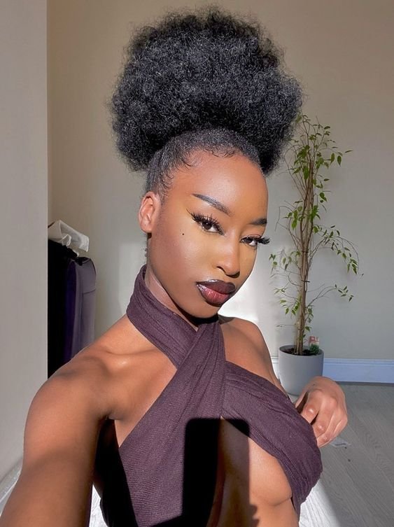 Long In Updo Visual Idea Long In Updo Visual Idea — Winter Hairstyles for Black Women