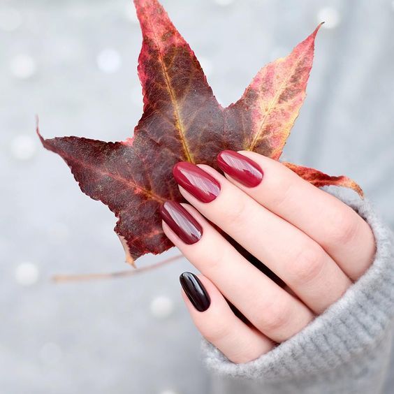 Burgundy and Black Accent Oval Nails Burgundy and Black Accent Oval Nails — Dark Winter Nails