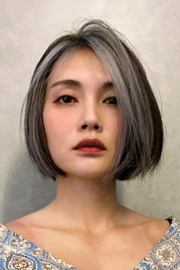 Dark Brown Bob with Bold Grey Streaks Dark Brown Bob with Bold Grey Streaks — Winter Haircuts for Women Over 50