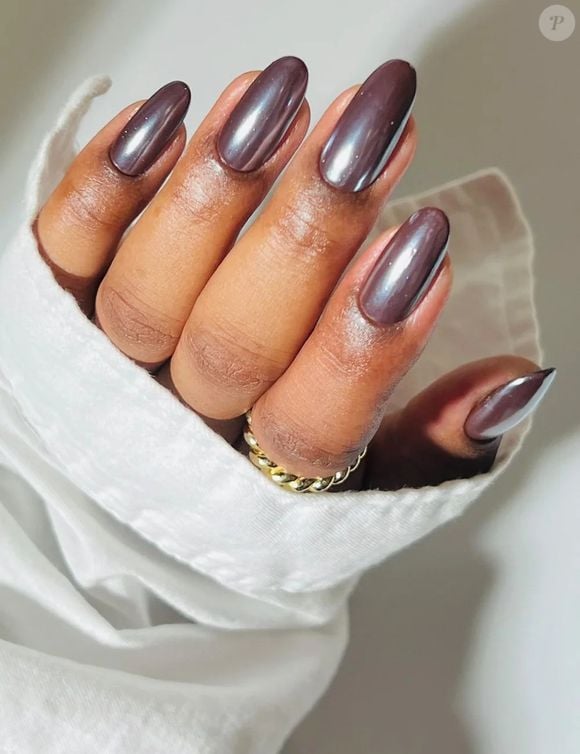 Metallic Deep Brown Glossy Nails Metallic Deep Brown Glossy Nails — Winter Dip Powder Nails