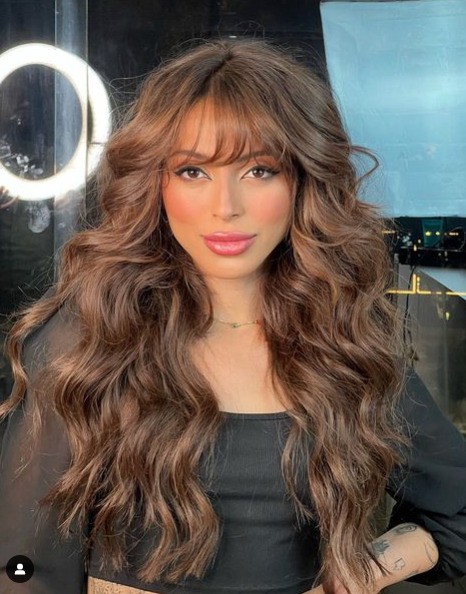 Long Layers Visual Idea Long Layers Visual Idea — Winter Hair Colors for Brunettes