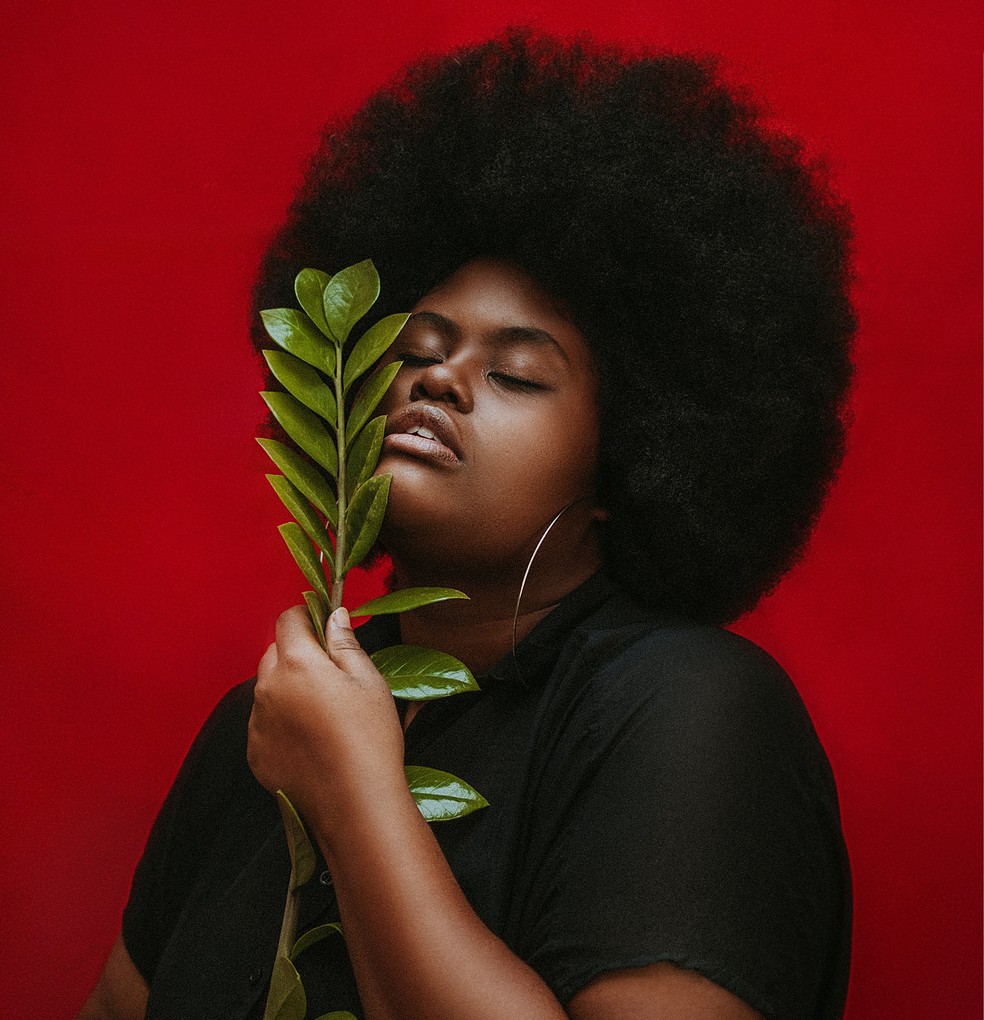 No Bangs Large Natural Black Afro No Bangs Large Natural Black Afro — Winter Hair Colors for Black Women