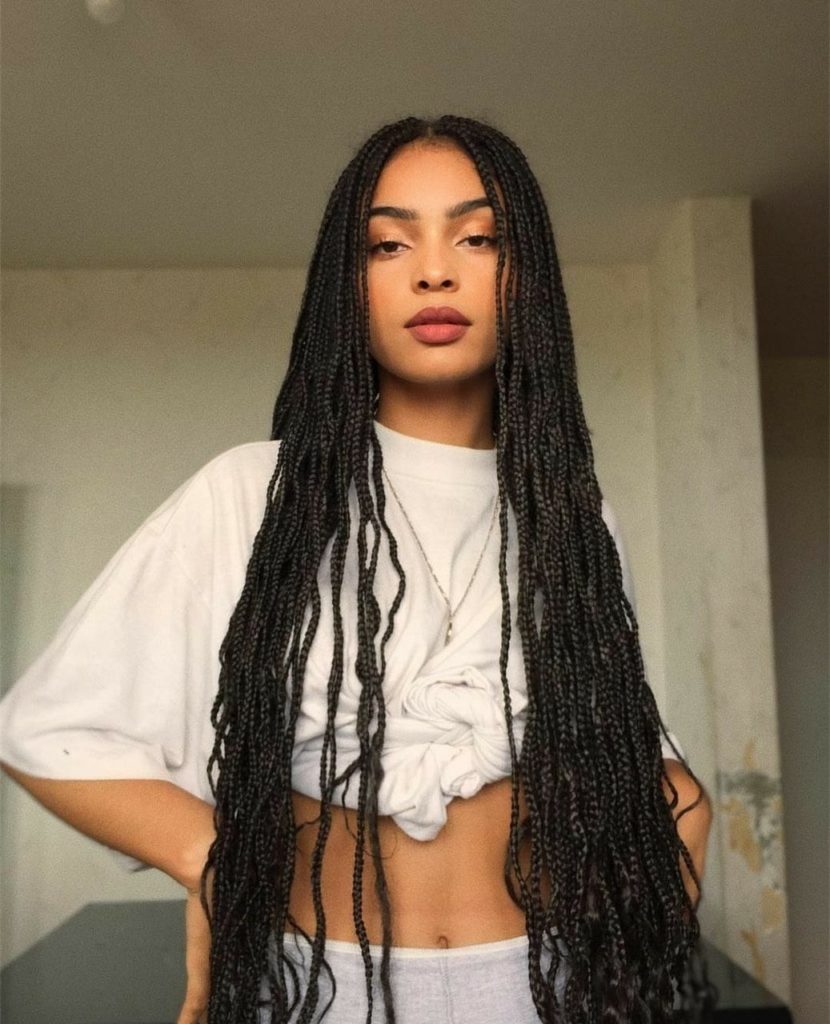 Long and Dense Deep Black Braids — Winter Braid Colors for Black Women