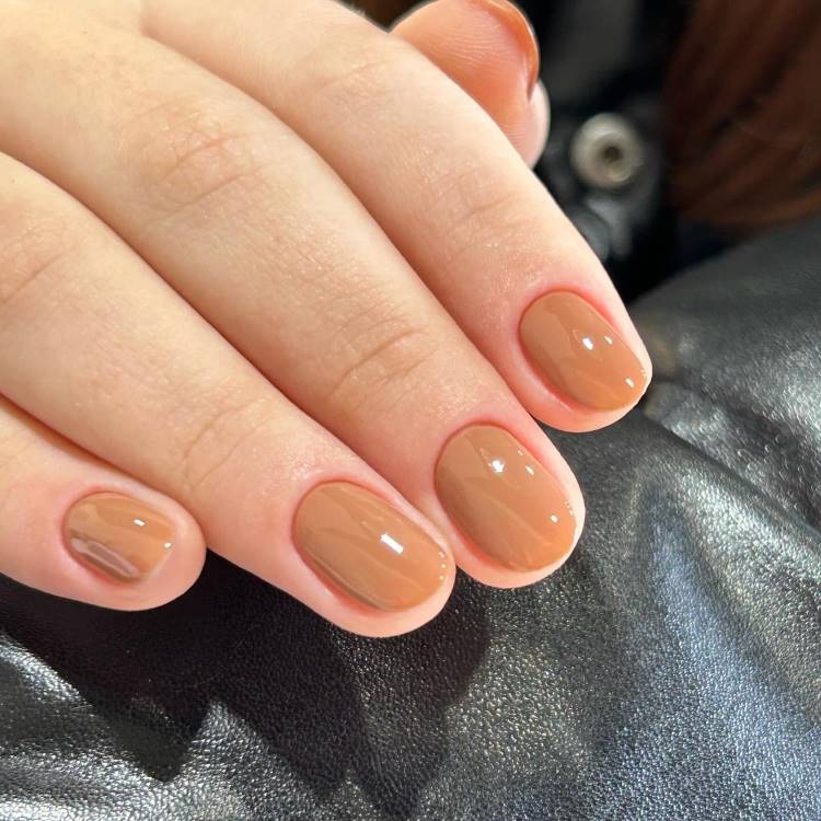 Medium Brown Glossy Short Round Nails — Winter Round Nails