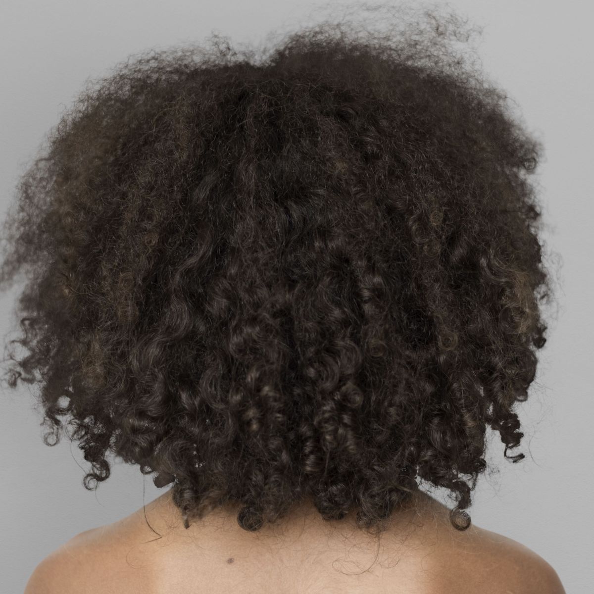 Dark Brown With Subtle Warm Undertones Visual Idea Dark Brown With Subtle Warm Undertones Visual Idea — Winter Hair Colors for Curly Hair