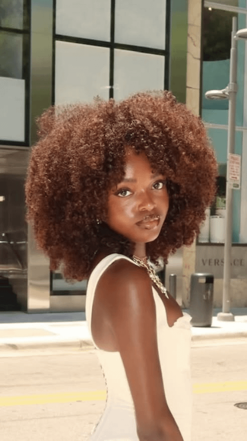 Dark Brown Coils with Auburn Highlights Dark Brown Coils with Auburn Highlights — Winter Hair Colors for Black Women