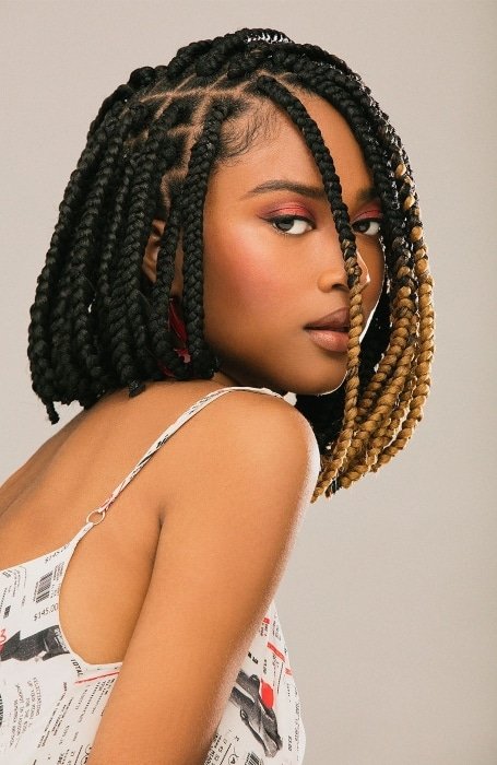 Chin-Length Box Braids with Blonde Highlights — Winter Braids for Black Women