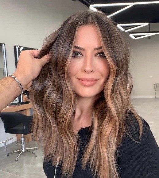 Medium Brown Base With Blonde Highlights Visual Idea — Blonde to Brunette Hair