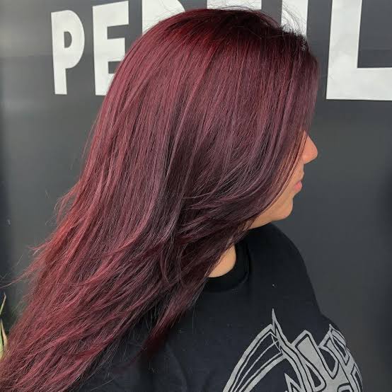 Mid-Back Layers With Violet Undertones — Burgundy Hair Color