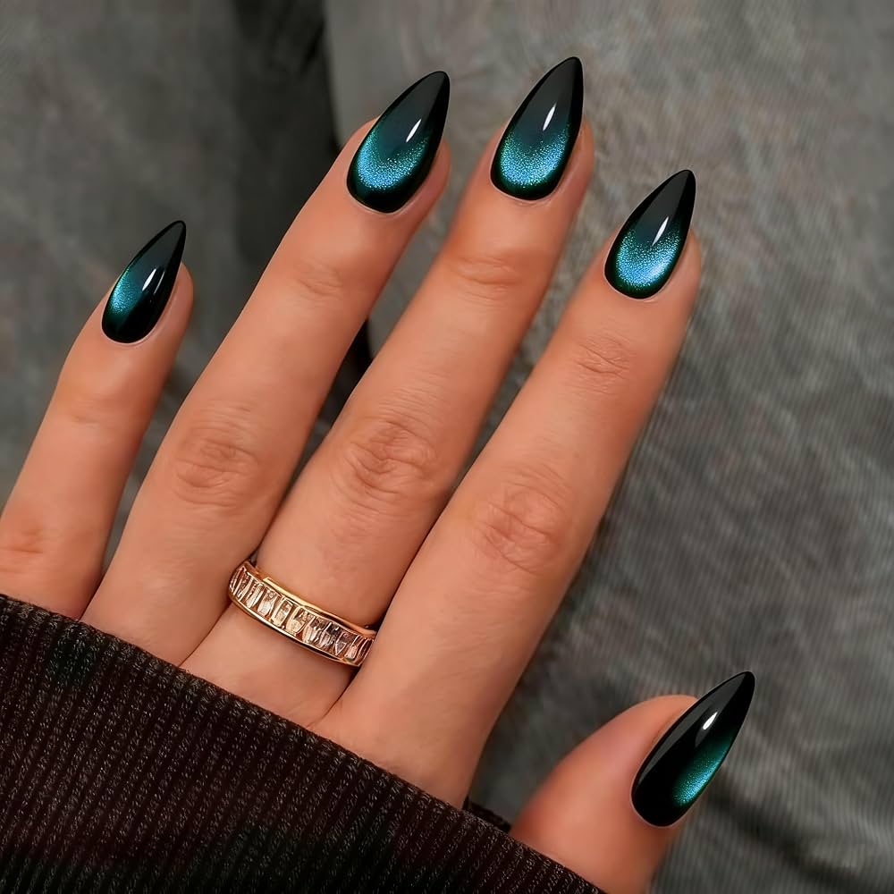 Black Cat Eye Stiletto Nails — Winter Acrylic Nail Colors