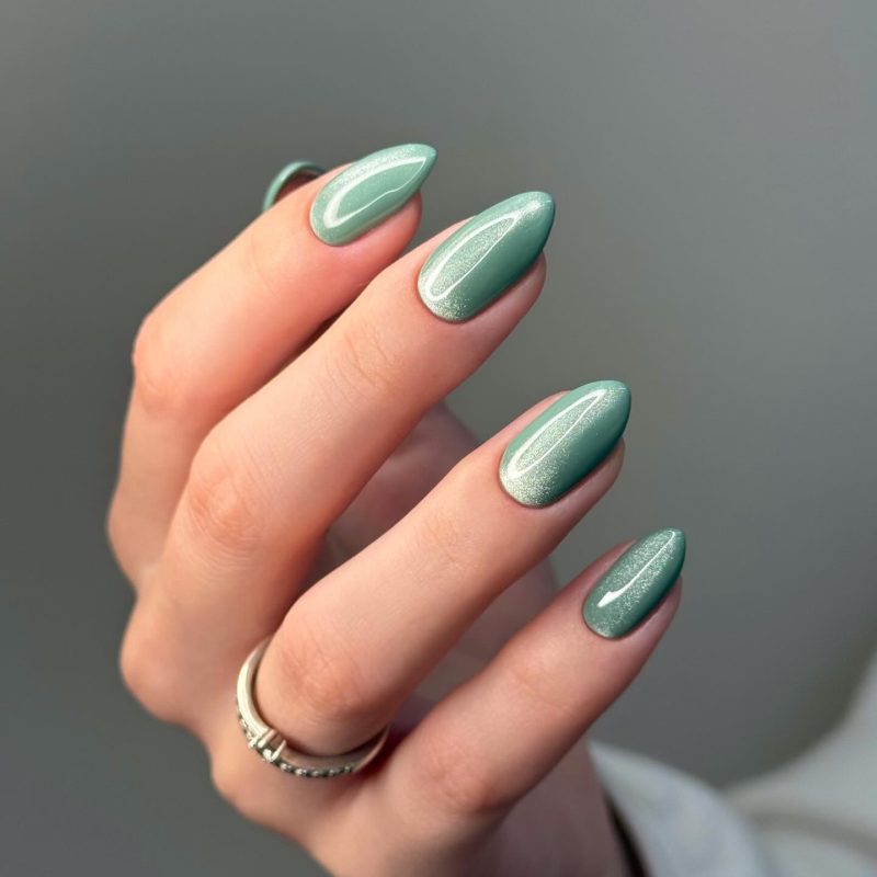 Sage Green Cat-Eye Nails — Winter to Spring Transition Nails