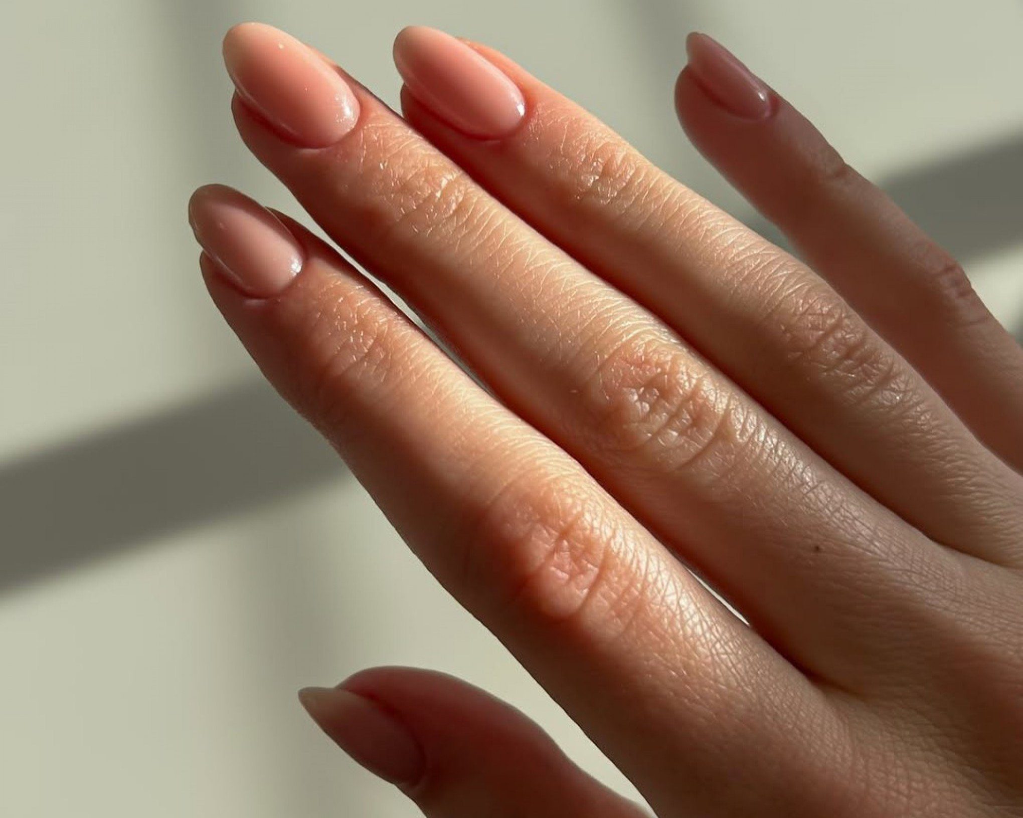 Sheer Pale Pink Glossy Oval Nails Sheer Pale Pink Glossy Oval Nails — Winter Oval Nails