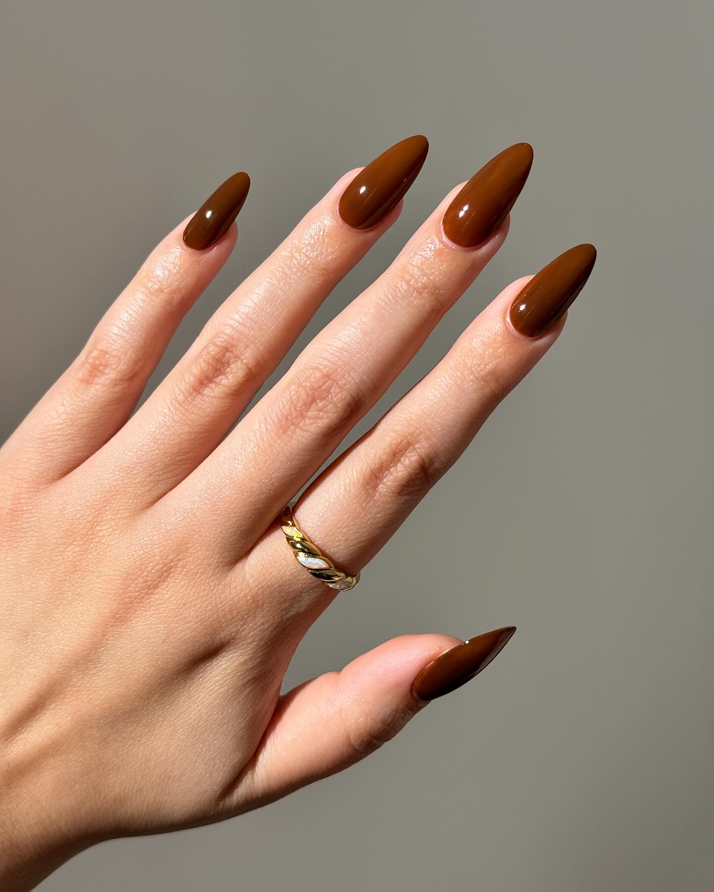 Rich Chocolate Stiletto Nails Rich Chocolate Stiletto Nails — Winter Nail Colors for Women Over 40