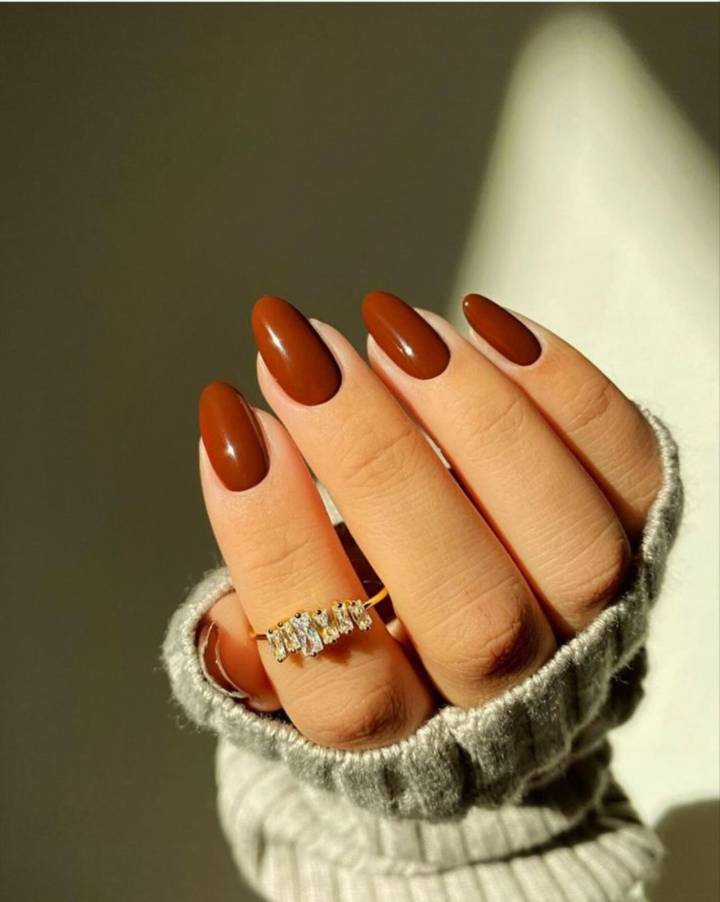 Warm Medium Brown Visual Idea — Winter Gel Nail Colors