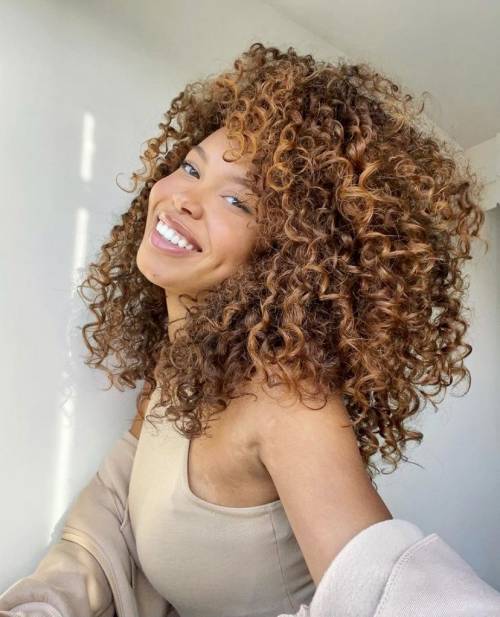 Layered Visual Idea Layered Visual Idea — Winter Hair Colors for Curly Hair