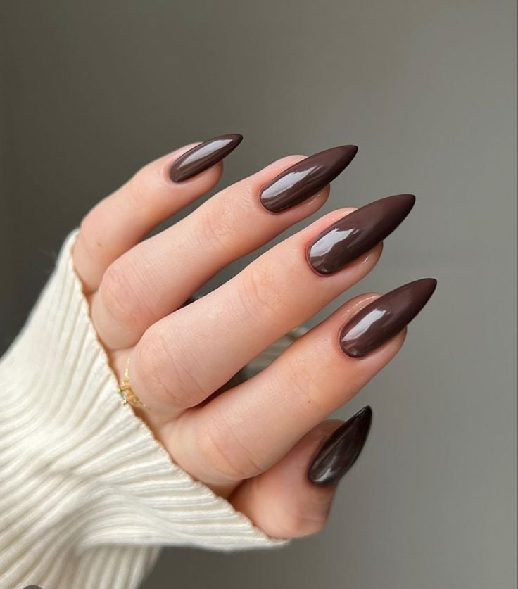 High Gloss Deep Chocolate Brown Stilettos High Gloss Deep Chocolate Brown Stilettos — Winter Stiletto Nails
