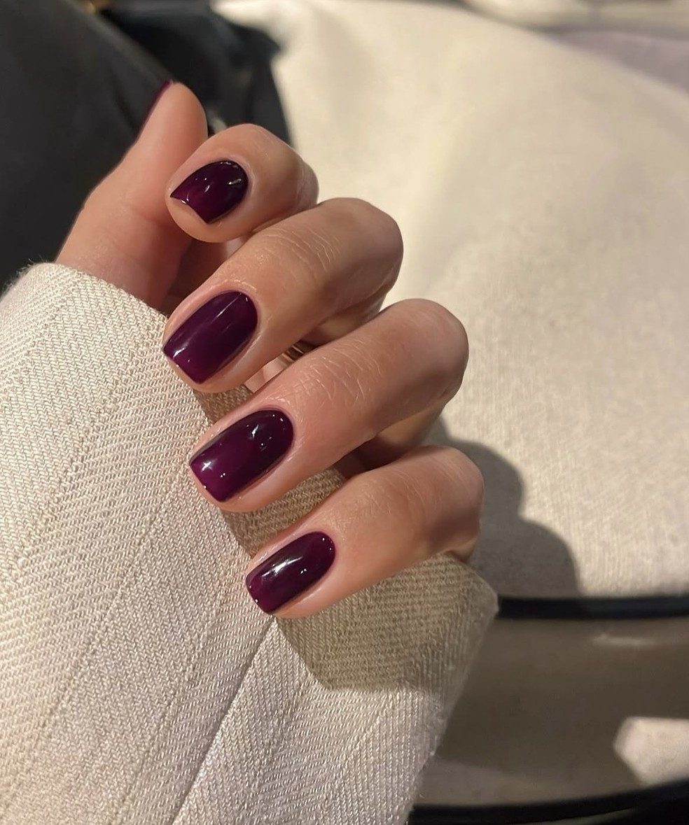 Deep Plum High Gloss Nails Deep Plum High Gloss Nails — Winter Dip Powder Nails