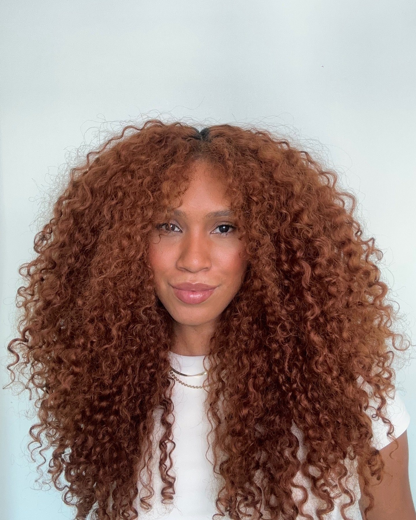 Cinnamon Red With Warm Undertones Visual Idea — Winter Red Hair Colors