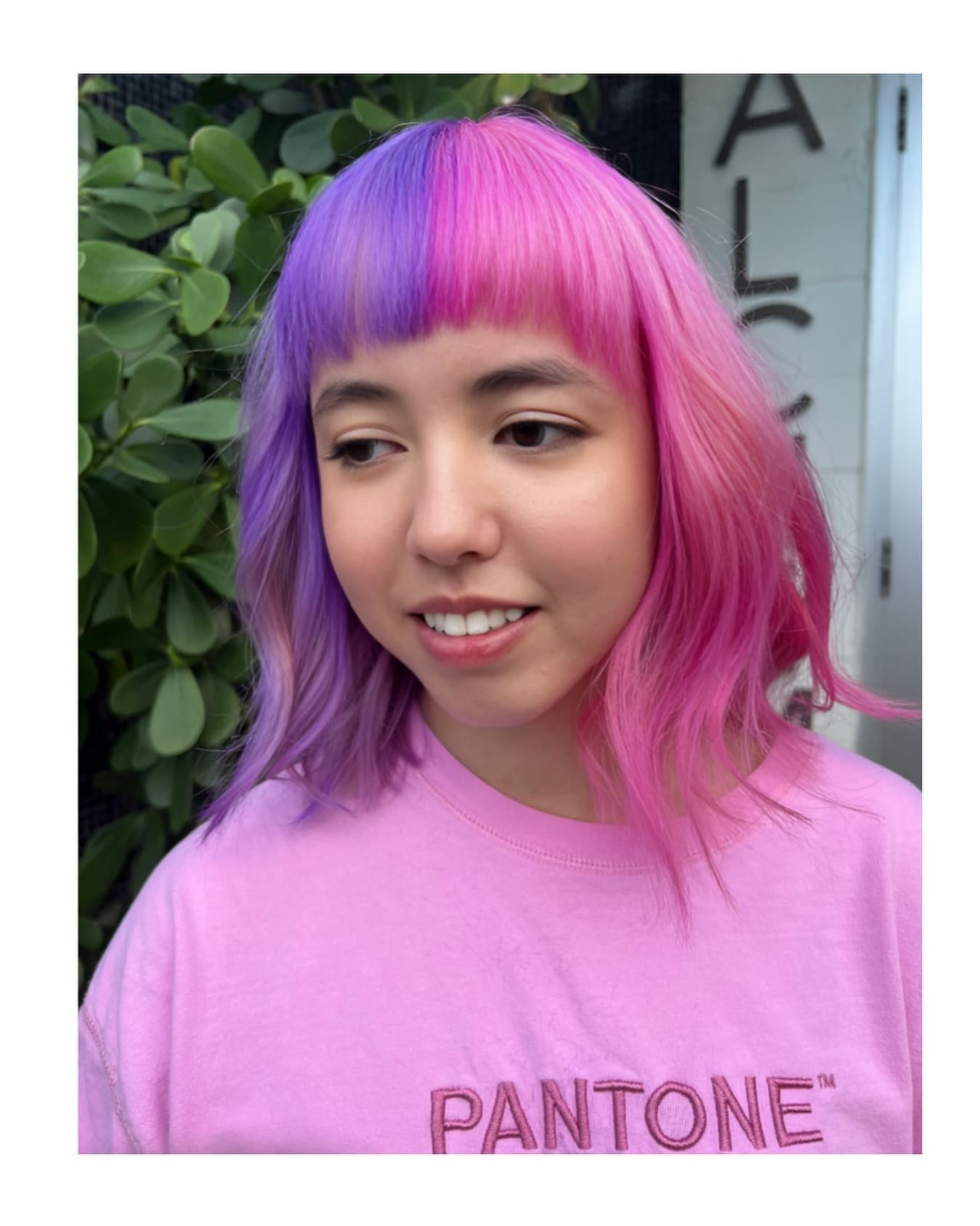 Chin Length Blunt Bob Pink And Purple Split Dye — Aesthetic Split Dye Hair