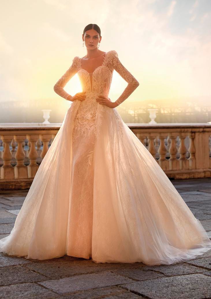 Ivory and Blush Lace Ballgown with Detachable Overlay — Aesthetic Wedding Dress