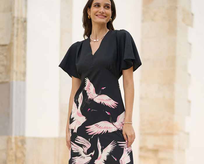 Black Midi Dress with Crane Print — Best Types of Dresses