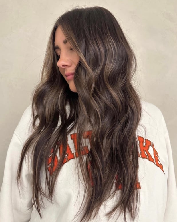 Medium Brown With Subtle Lighter Highlights Medium Brown With Subtle Lighter Highlights — Brunette Hair Inspiration