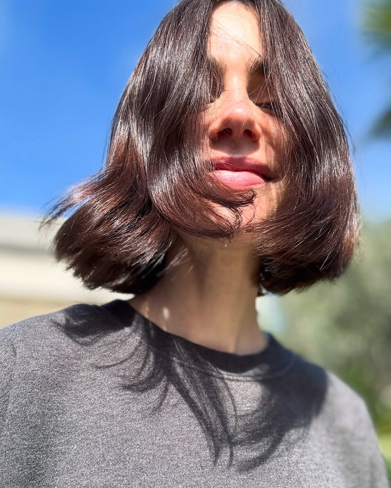 Chin Length Bob With Warm Undertones Chin Length Bob With Warm Undertones — Brunette Hair Inspiration