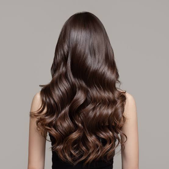Mid-Back Length Rich Dark Brown Blowout Mid-Back Length Rich Dark Brown Blowout — Brunette Hair Inspiration