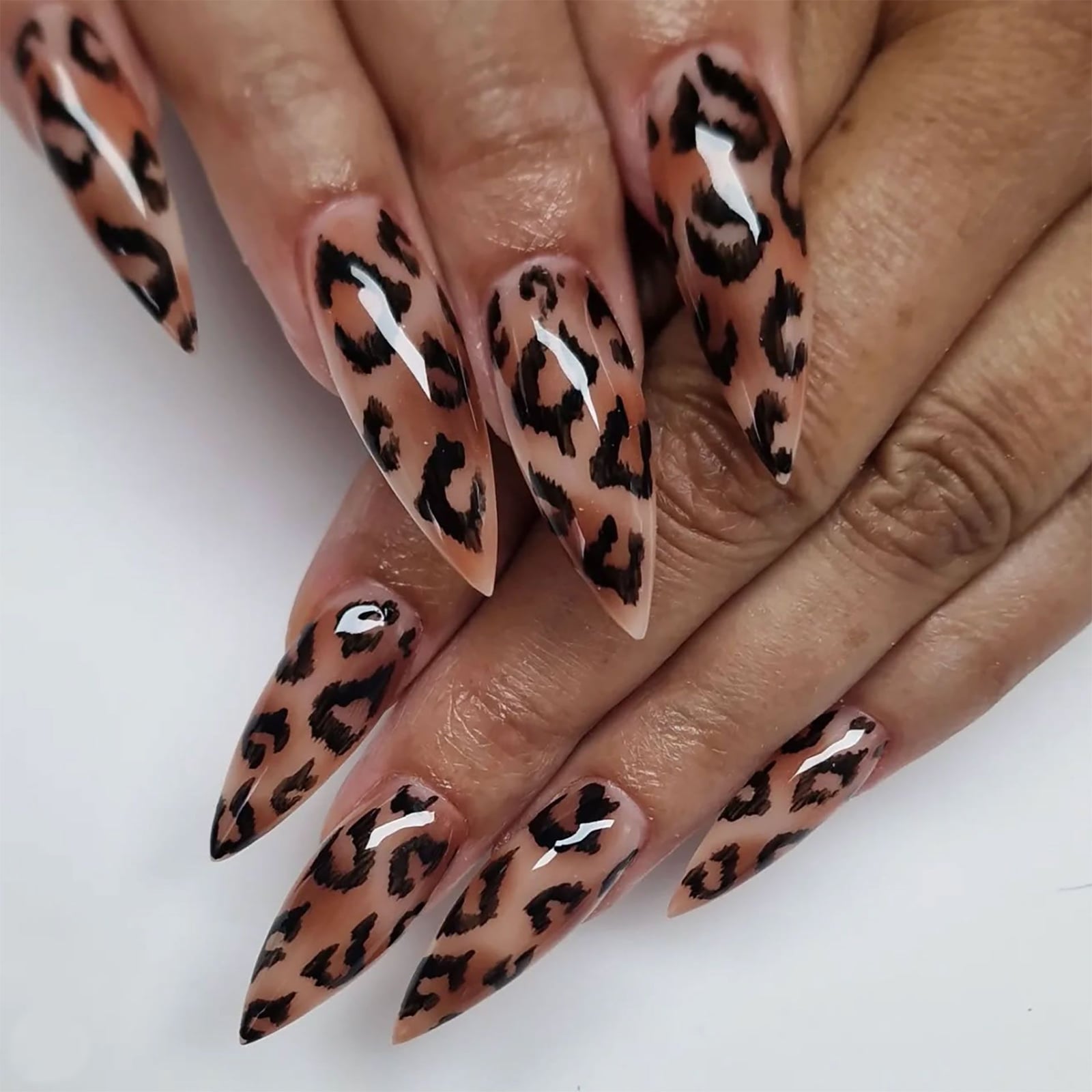 Black Leopard Print French Tip Almond Nails — Classy Animal Print Nails