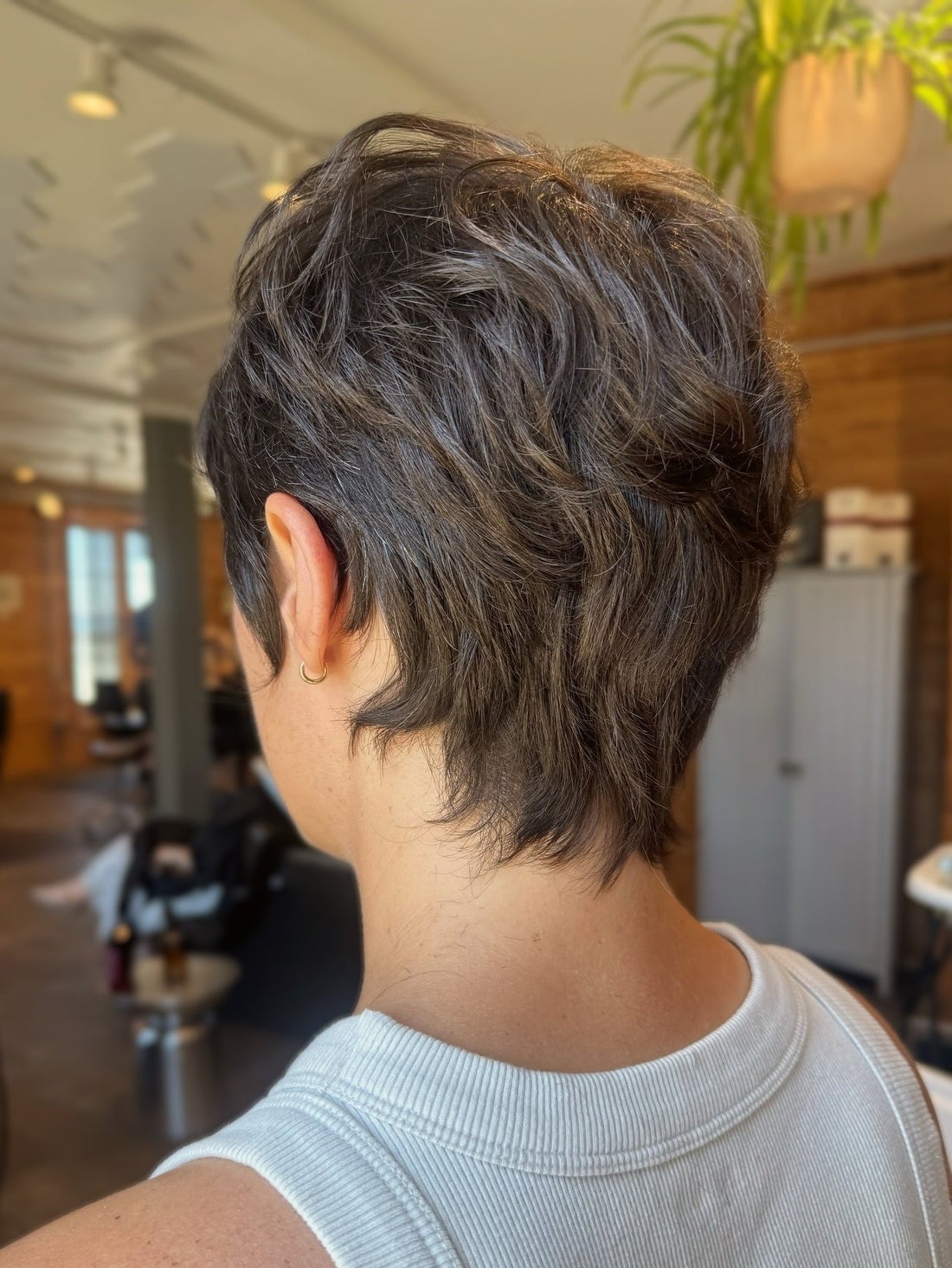 Layered Dark Brown Pixie Back View Layered Dark Brown Pixie Back View — Classy Asymmetrical Pixie