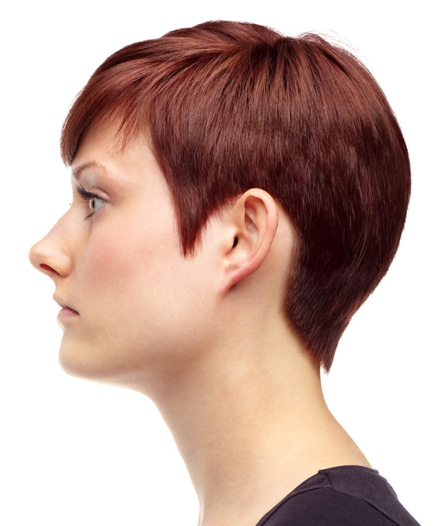 Reddish Brown Pixie With Asymmetrical Bangs Reddish Brown Pixie With Asymmetrical Bangs — Classy Asymmetrical Pixie