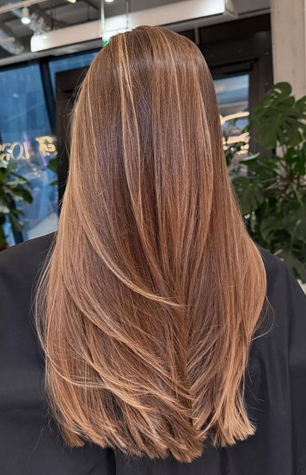 Layered Brown Hair with Blonde Highlights and Black Top Layered Brown Hair with Blonde Highlights and Black Top — Classy Babylights