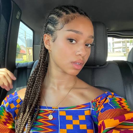 Mid-Back Box Braids With Baby Hairs — Classy Braided Styles