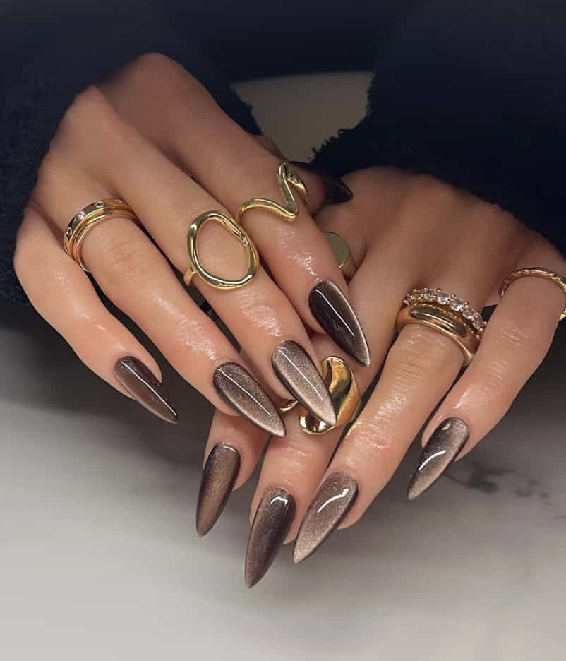 Long Stiletto Glossy Brown Cat-Eye Ombre Long Stiletto Glossy Brown Cat-Eye Ombre — Classy Brown Ombre Nails