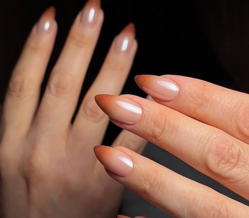 Long Stiletto Shimmering Brown Ombre Long Stiletto Shimmering Brown Ombre — Classy Brown Ombre Nails