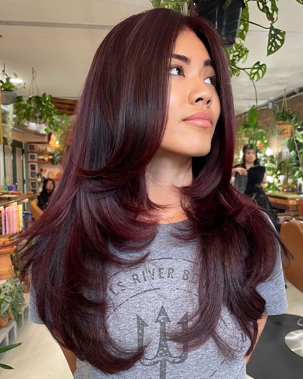 Long Wavy Hair With Glossy Burgundy — Classy Burgundy Highlights