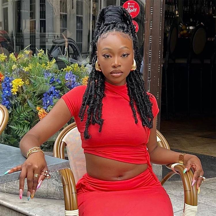 High Ponytail With Loose Strands High Ponytail With Loose Strands — Classy Butterfly Locs