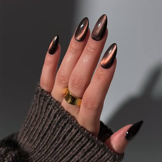 Long Stiletto Cat-Eye Chocolate Nails Long Stiletto Cat-Eye Chocolate Nails — Classy Chocolate Nails