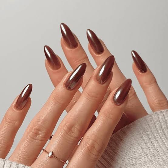 Long Stiletto Deep Brown Chrome Nails Long Stiletto Deep Brown Chrome Nails — Classy Chrome Nails Colors