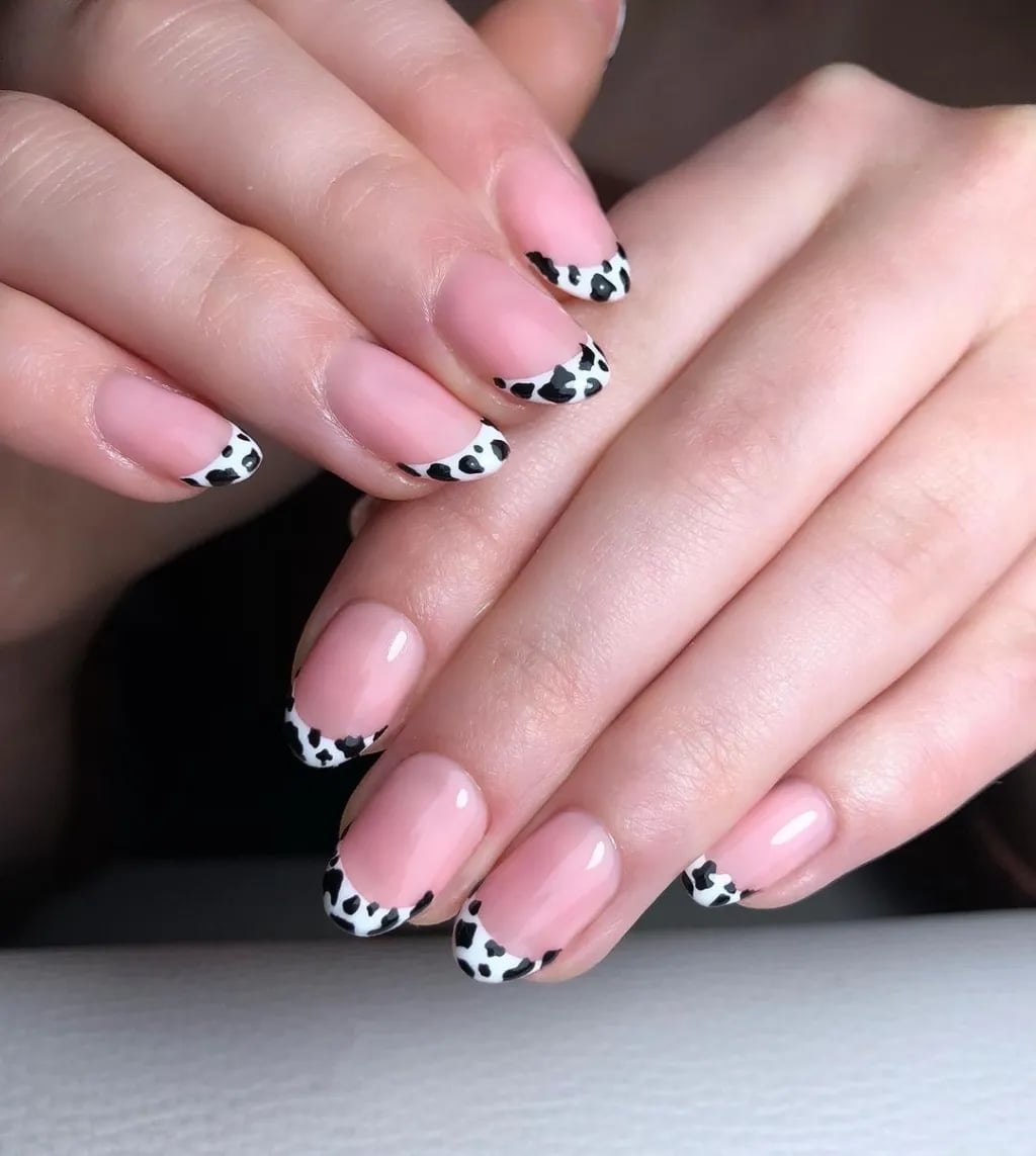 Black and White Cow Print French Tips Medium Almonds — Classy Cow Print Nails