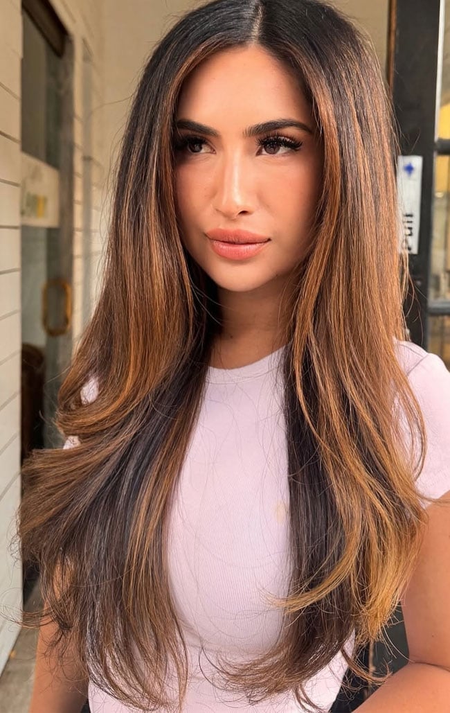 Dark Brown Base With Lighter Brown Highlights — Classy Highlights Brown Hair